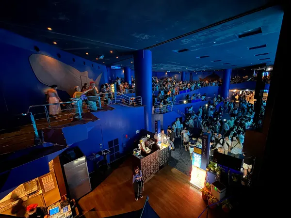 Ocean Blue Caféの写真3