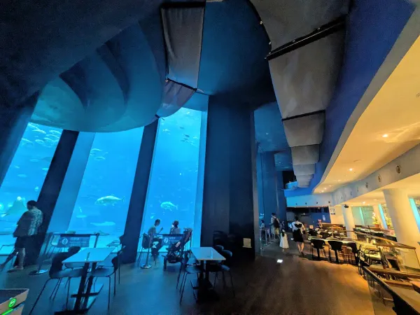 Ocean Blue Caféの写真2