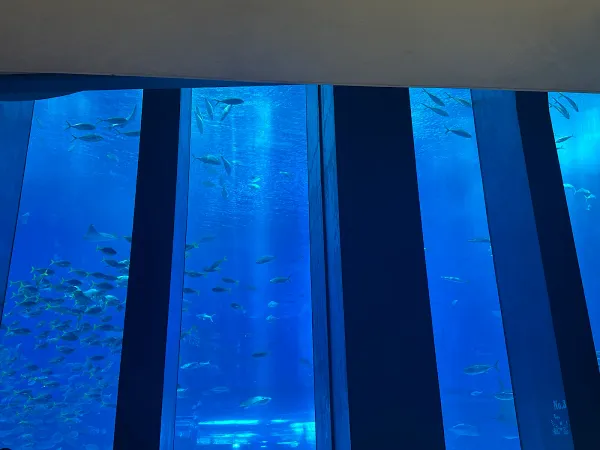 Ocean Blue Caféの写真4