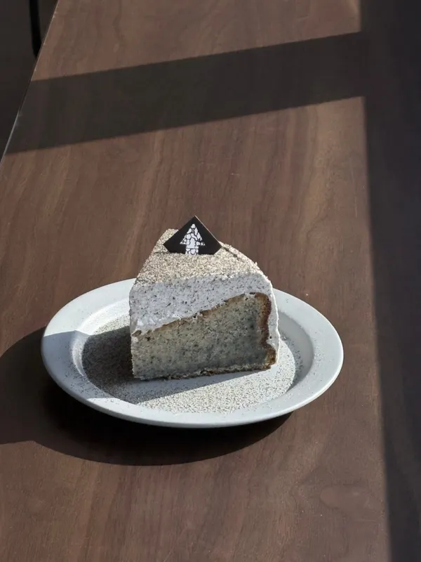 コンクリートジャングルの写真2