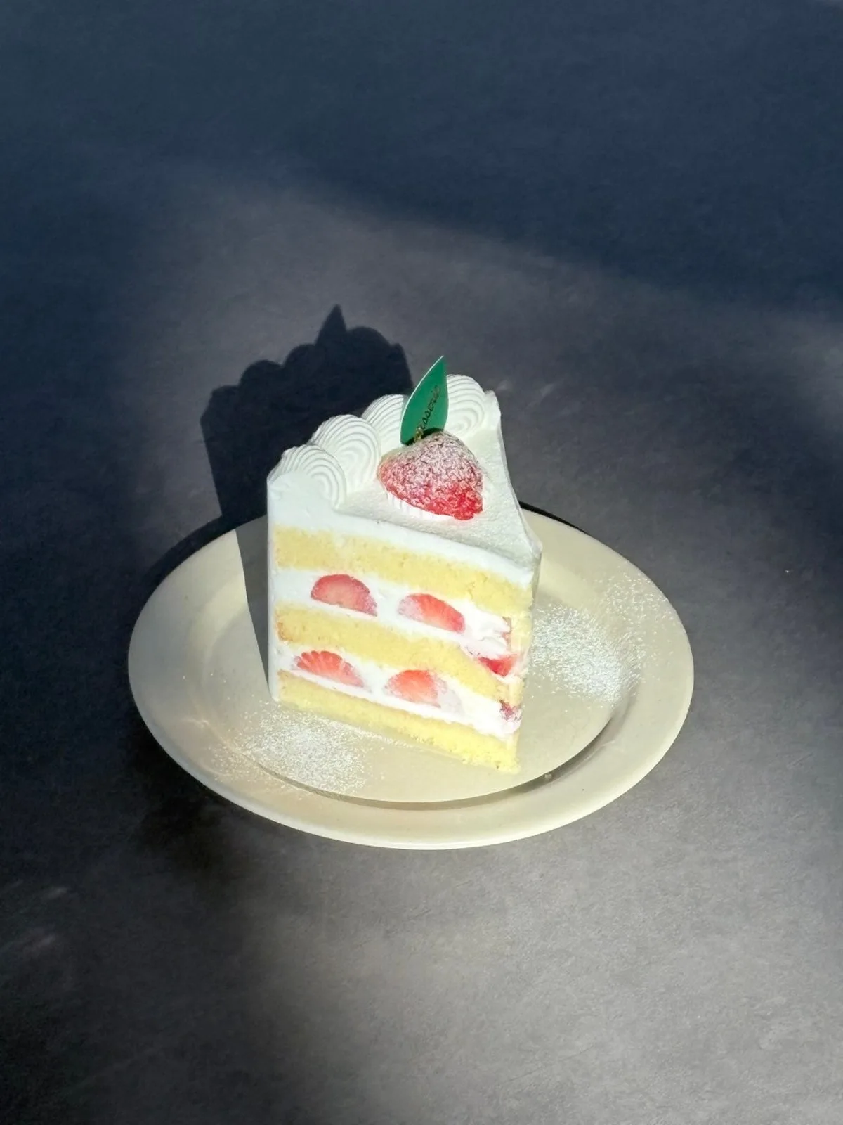 コンクリートジャングルのメイン写真