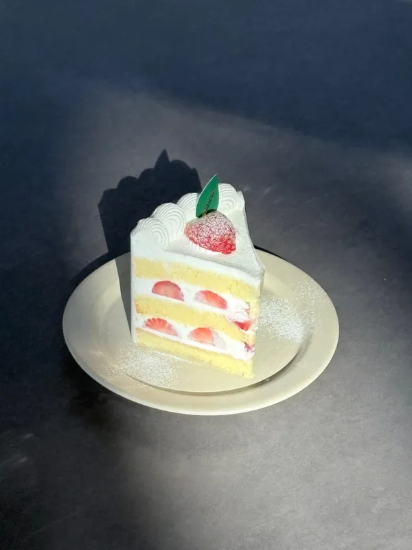 コンクリートジャングル