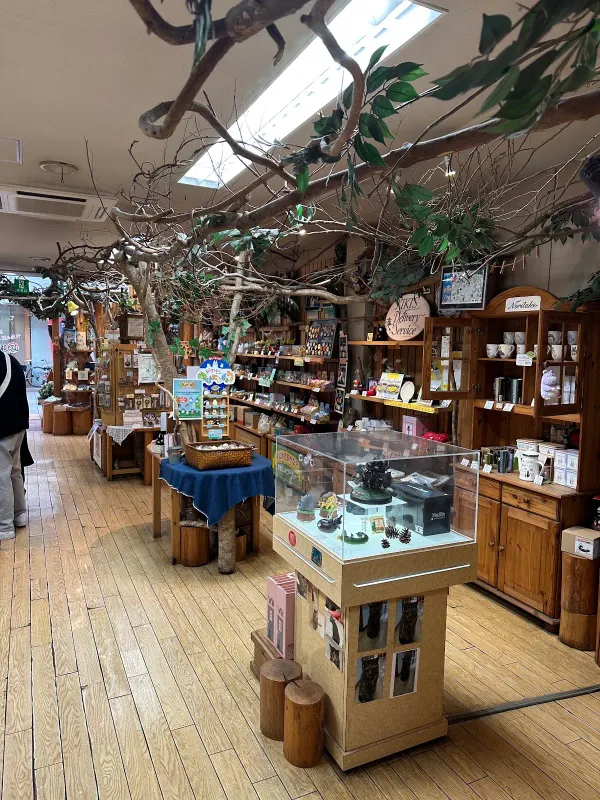 Donguri Kyowakoku (Ghibli Store)の写真5