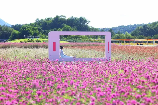 ナリノンウォンの写真3