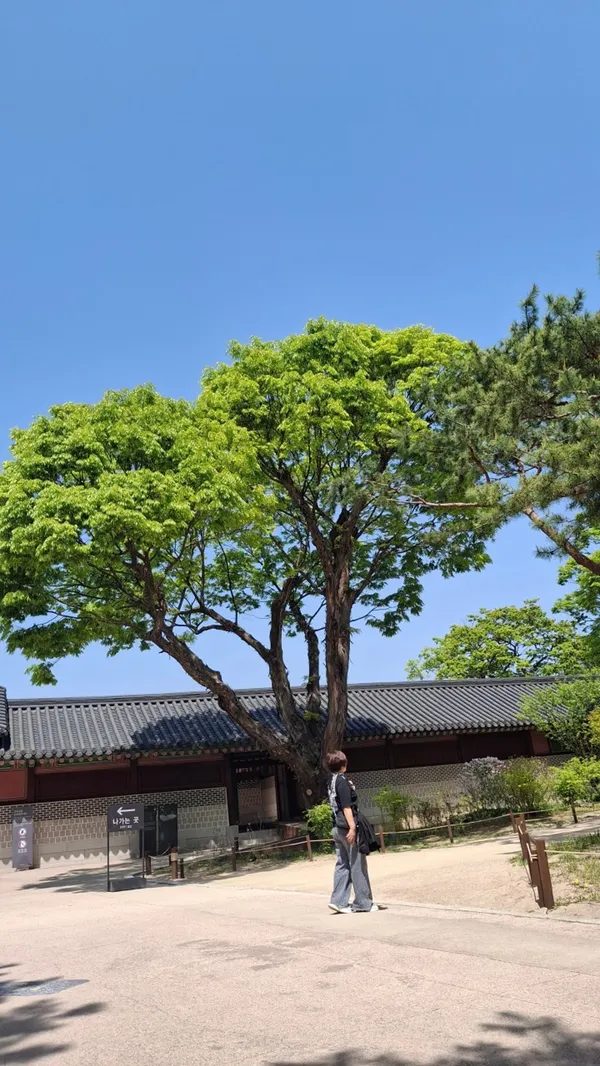 コムニョンソの写真4