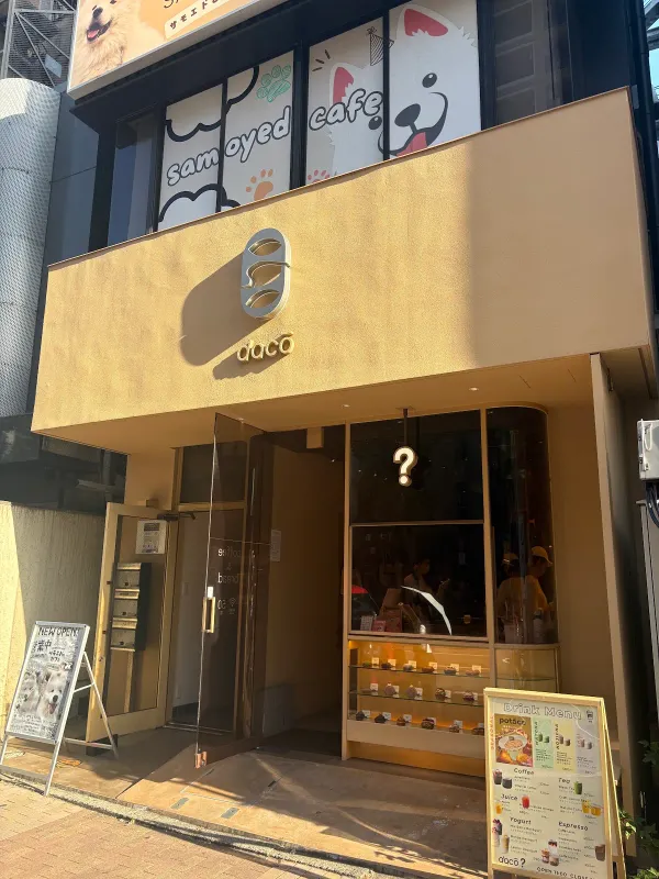 dacō 사진 2