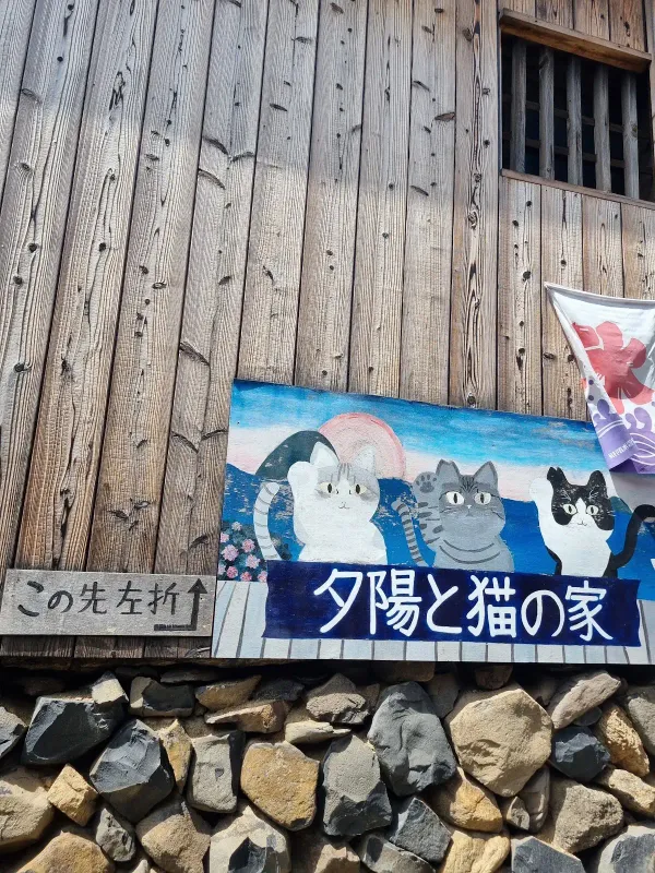 夕陽と猫の家, photo 5