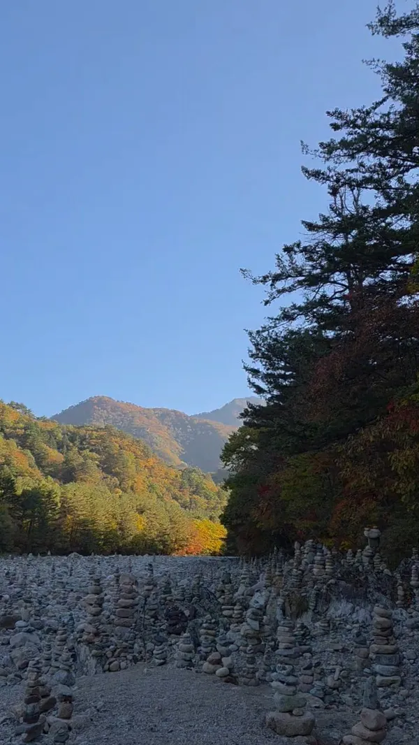 ペクタムサ