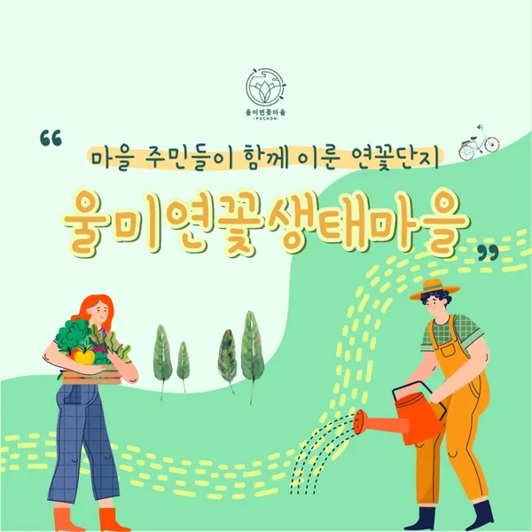 울미연꽃마을 사진 5