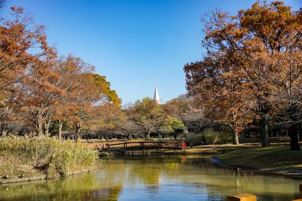 Yoyogi Park Central Pond