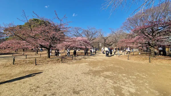 요요기 공원 오이케 사진 3