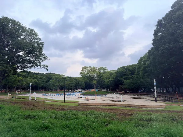 요요기 공원 오이케 사진 5
