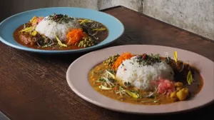 Planet of Curry
