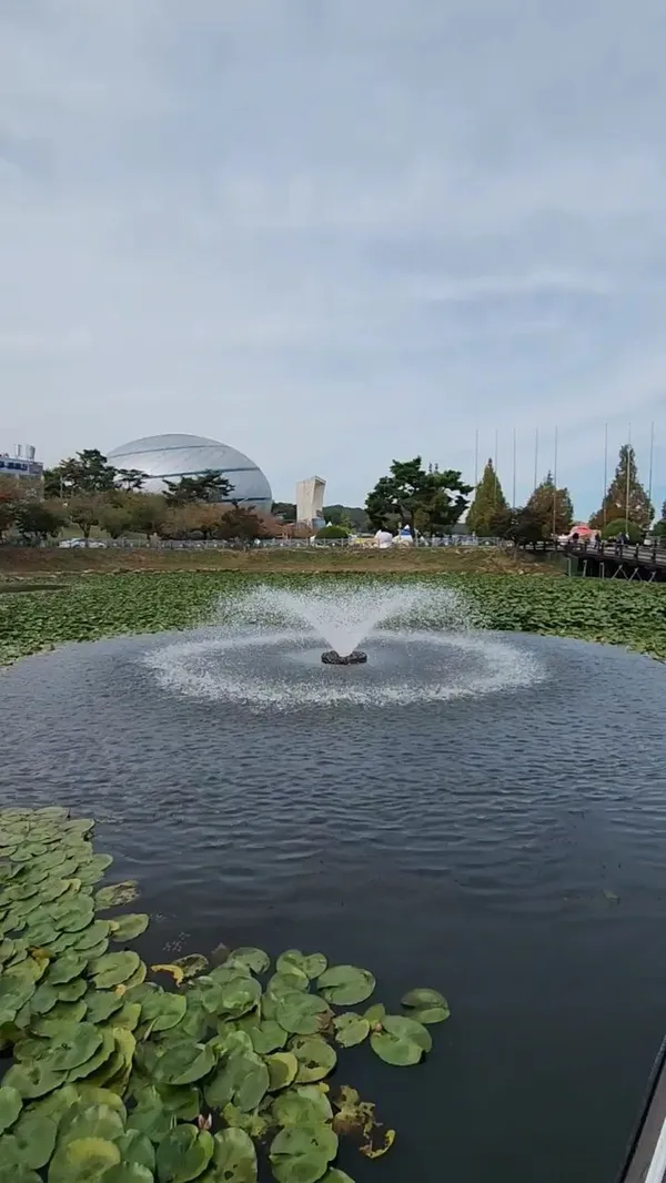 アンソンマッチュムランド