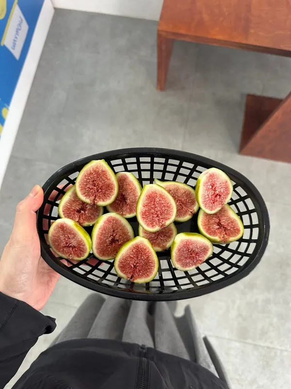 ウォムコルド