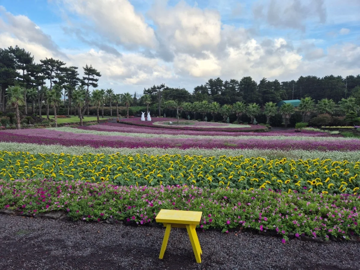 サムダルリ コッパテソのメイン写真