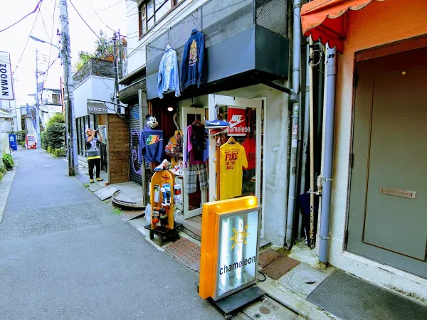 cameleon wear houseの写真2
