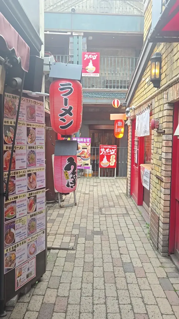 オタル テヌキコジの写真5