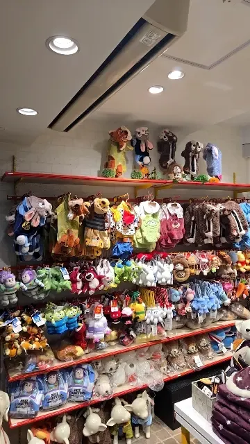 ペットパラダイス原宿竹下通り店の写真4