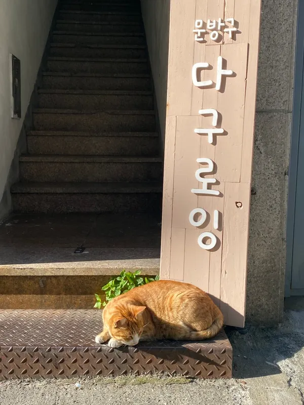 タグロインの写真2
