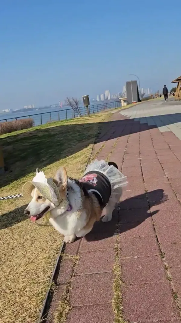 ペゴッハヌル公園