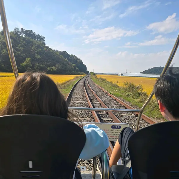 チュンナムツアーパスの写真3