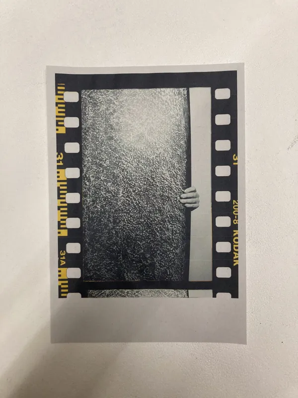 テンプルドボンボン 写真館