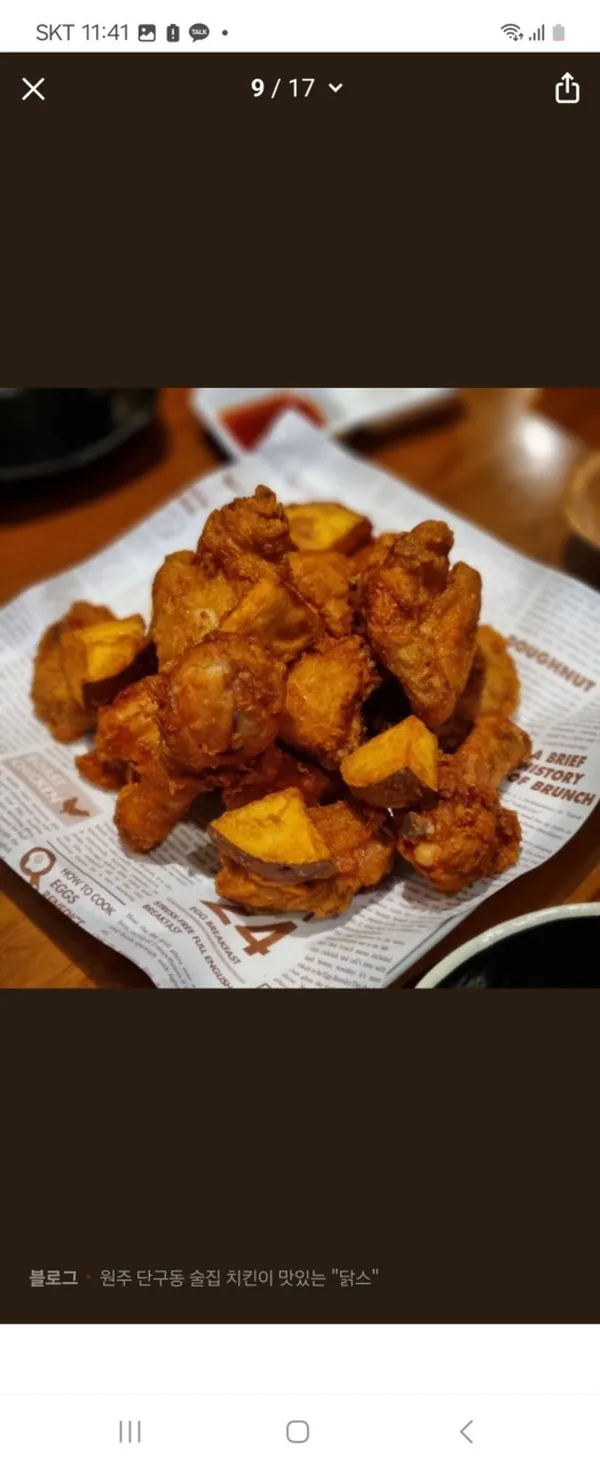 닭스 사진 4