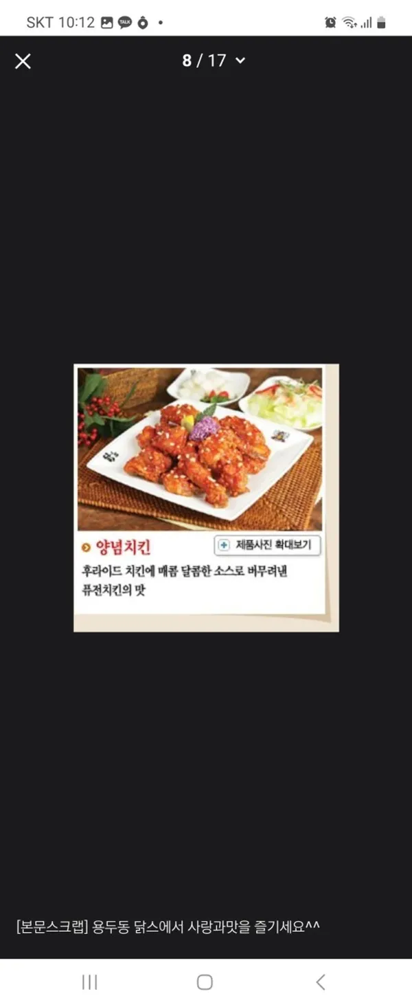 닭스 사진 5