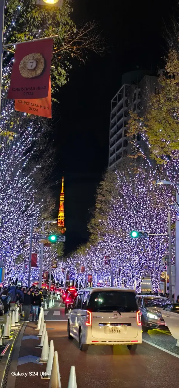 ロクボンギ ケヤキザカの写真3