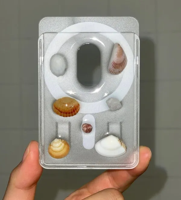 チョゲジュッキンの写真3
