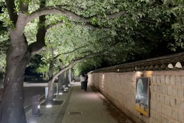 경주역사유적지구 사진 3
