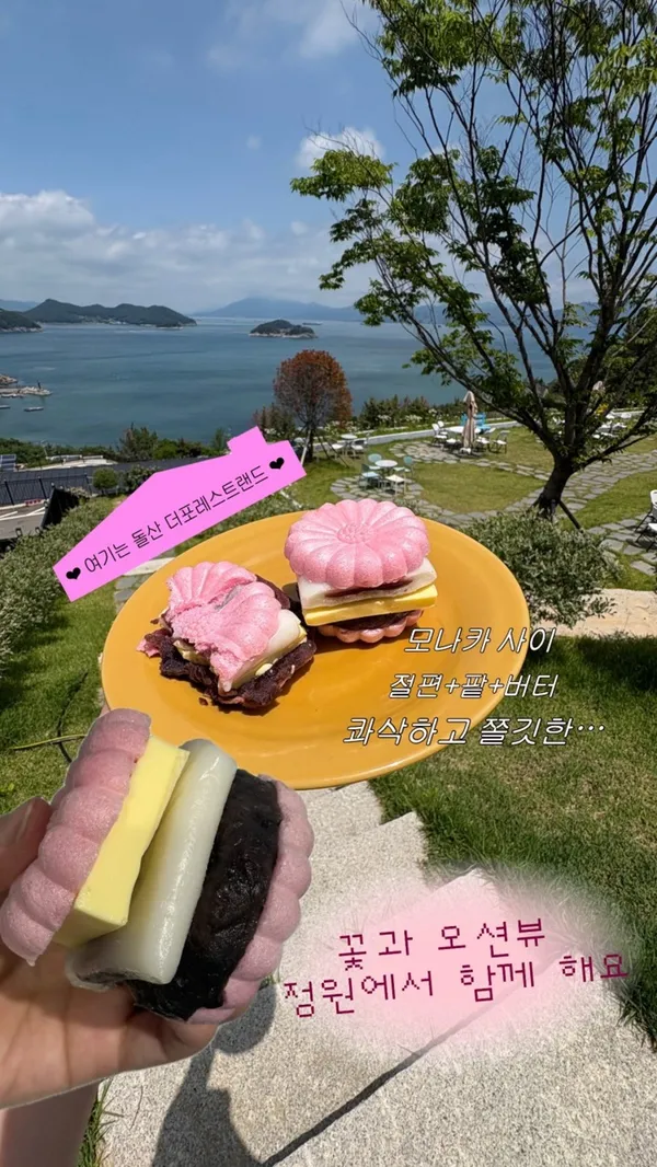 ザ フォレストランドの写真2
