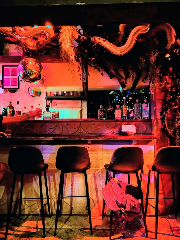 U.F.O. tacos/sound, photo 2