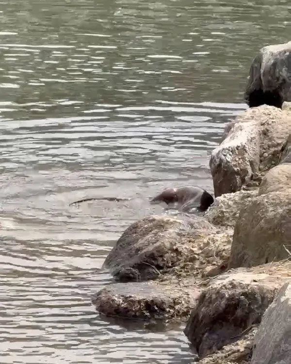 ソムジンガン スダル生態公園の写真5
