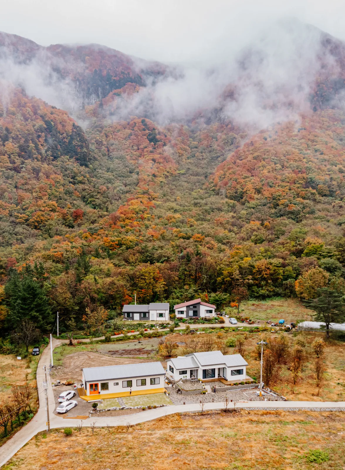Nari Sanghoe, main photo
