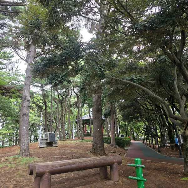 サムム公園の写真2