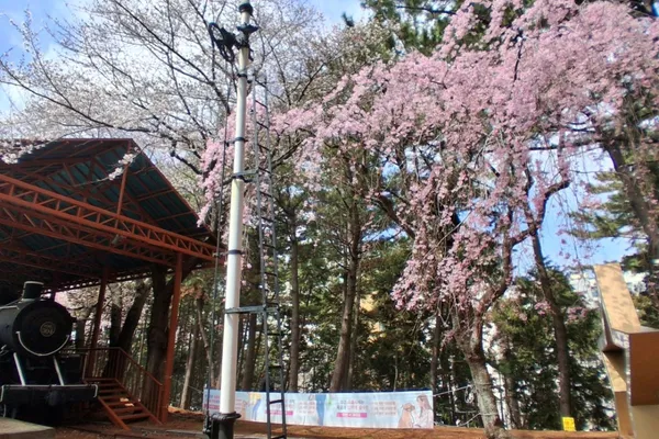 제주 가볼만한 곳 17곳