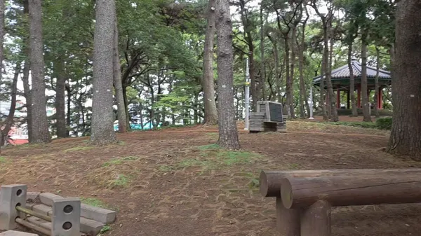 サムム公園の写真4