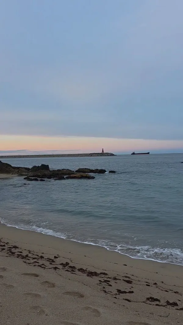 하평해변 사진 5