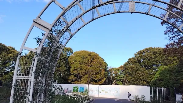 Rose Garden, photo 5