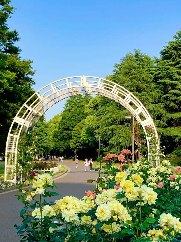 Rose Garden, photo 2