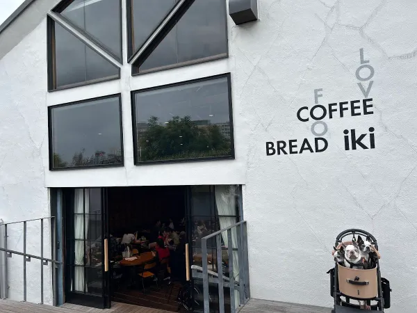 iki Roastery & Eatery 사진 5