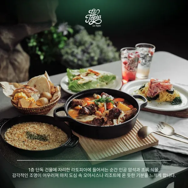라토피아 사진 2