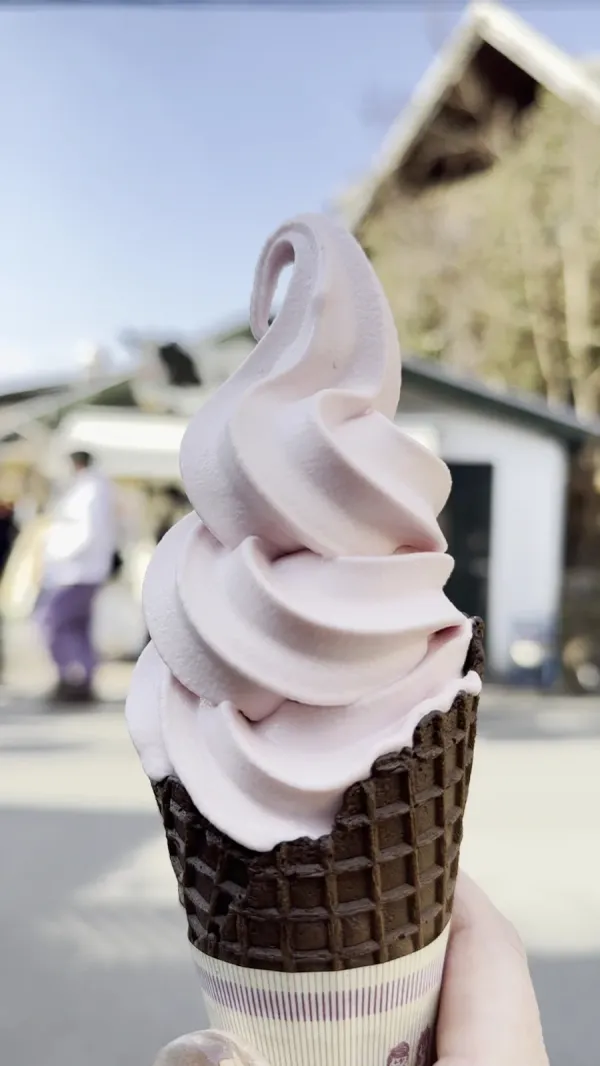 yufuin soft cream