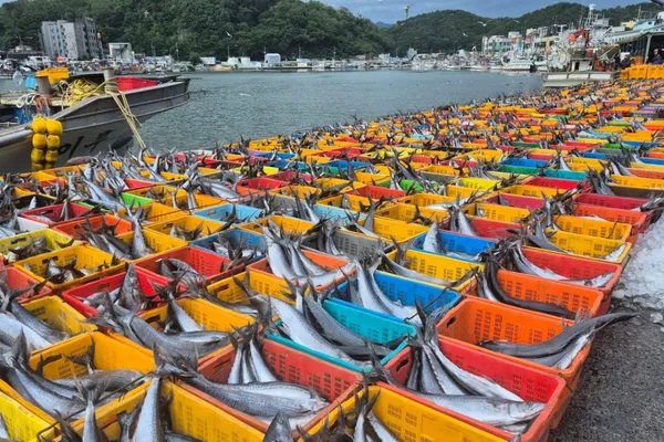 Ganggu Port, photo 3