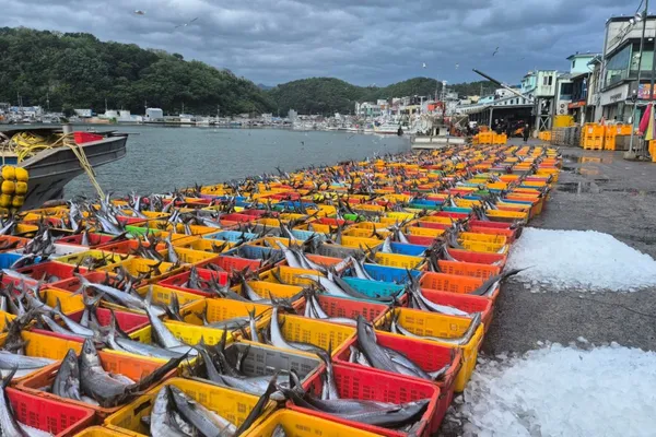 Ganggu Port, photo 4