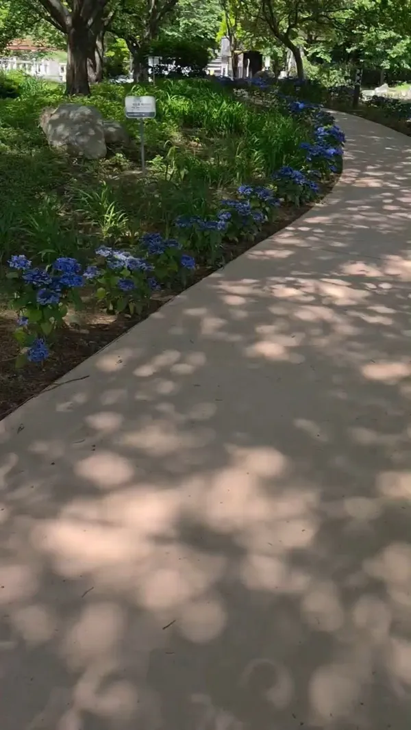 モアクサン道立公園