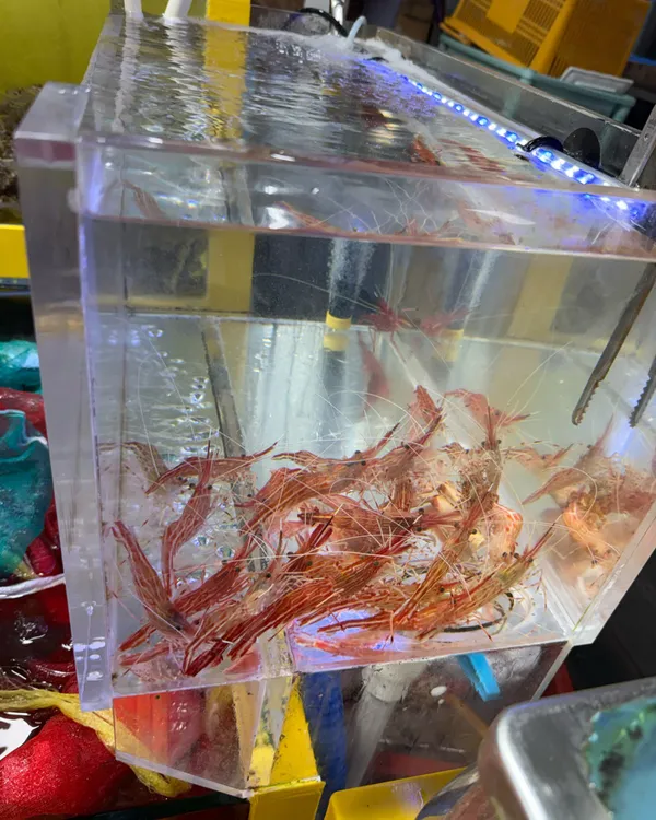 キョンブクポハンフェッチプの写真4