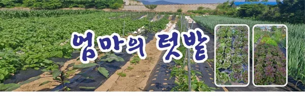 박가네가브리살전문집 사진 5